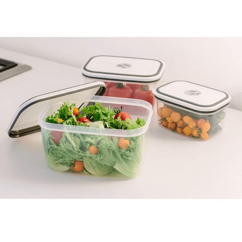 Electrolux - Kit Potes de Plástico Hermético, 10 unidades
